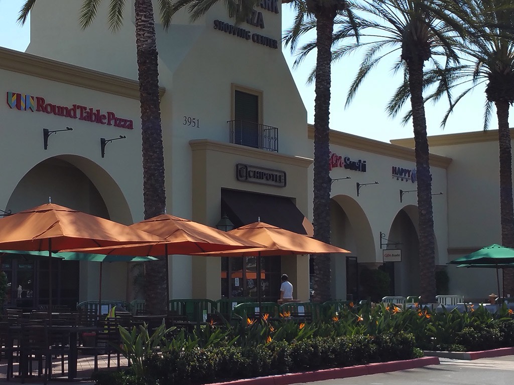 A short description about the picture goes here