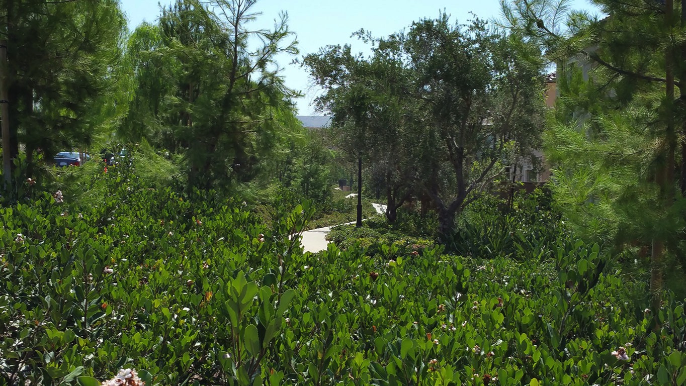 A short description about the picture goes here