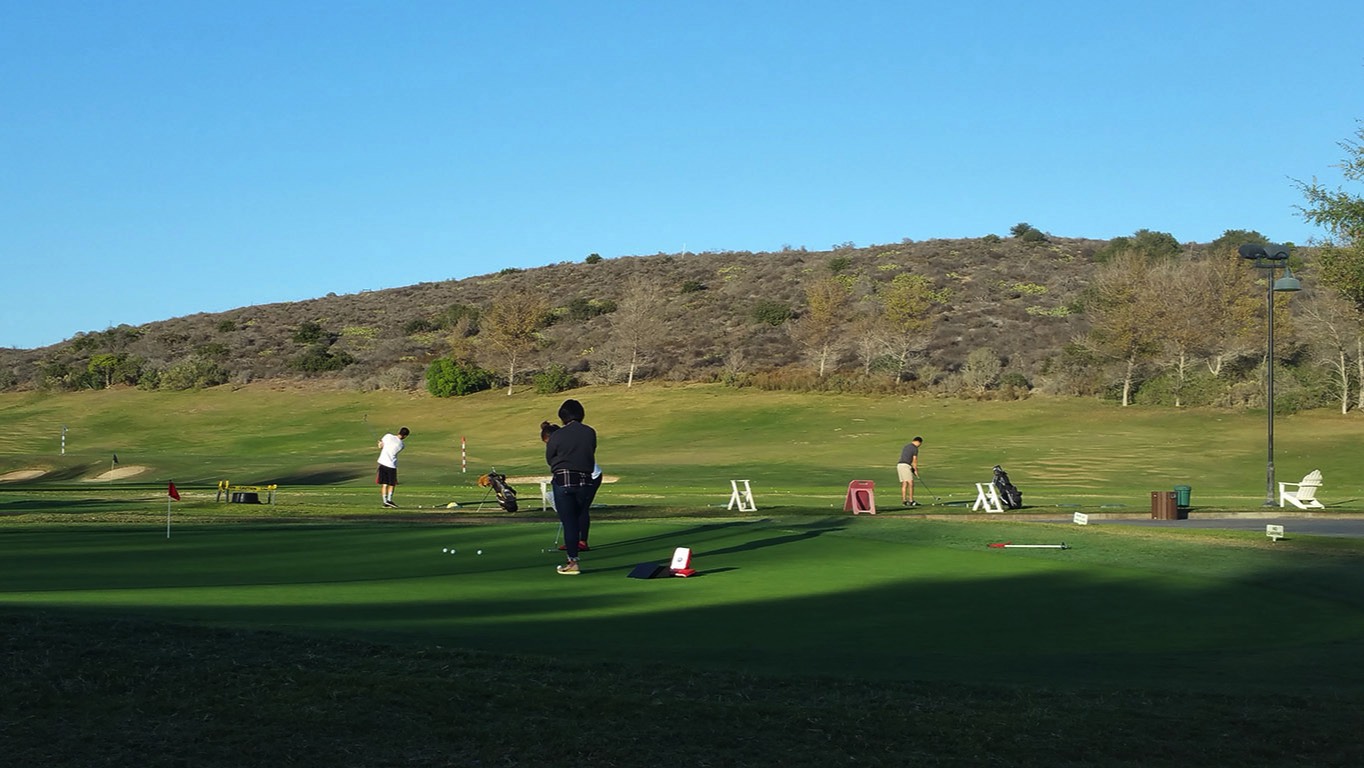 A short description about the picture goes here