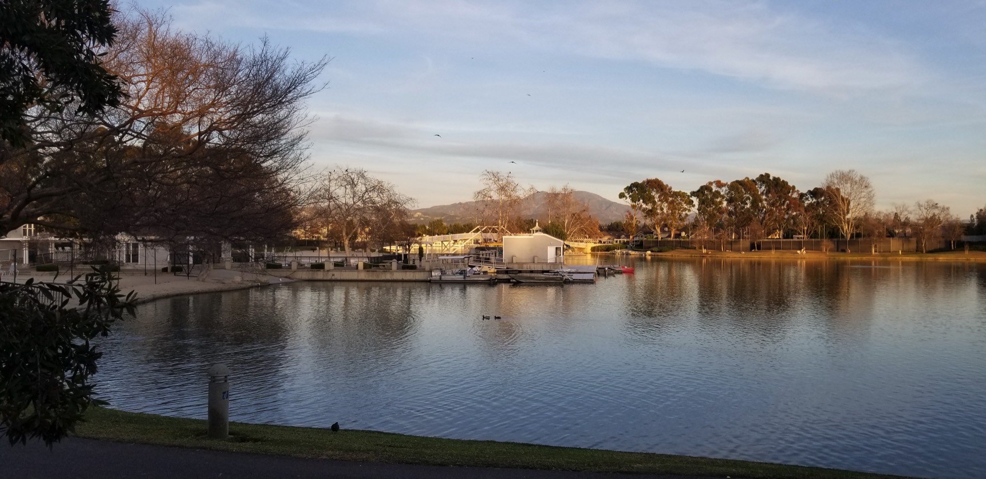 A short description about the picture goes here