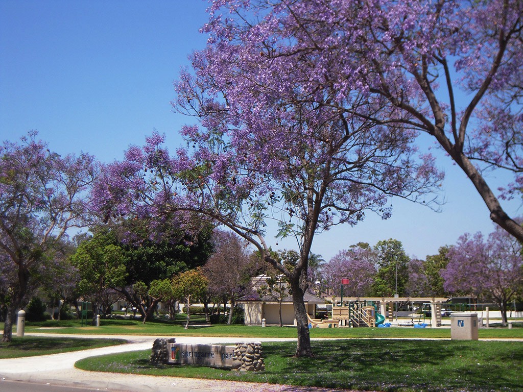 A short description about the picture goes here