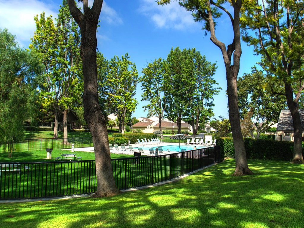 A short description about the picture goes here